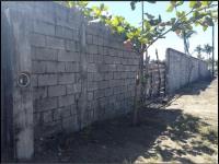 Terreno en venta en Los Mogotes, Coyuca de Benítez — foto 2 de 7