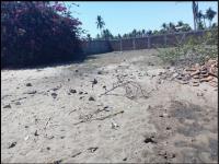 Terreno en venta en Los Mogotes, Coyuca de Benítez — foto 3 de 7