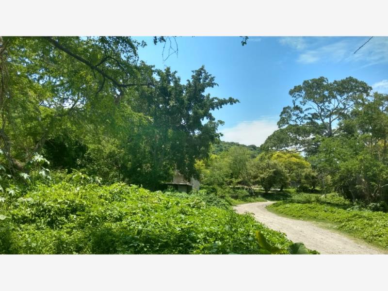 Terreno en venta en Alpuyeca, Xochitepec — foto 1 de 13