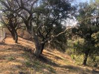 Terreno en venta en Rancho Tetela, Cuernavaca — foto 3 de 8