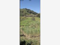 Finca-Rancho en venta en Teocelo, Teocelo — foto 2 de 20