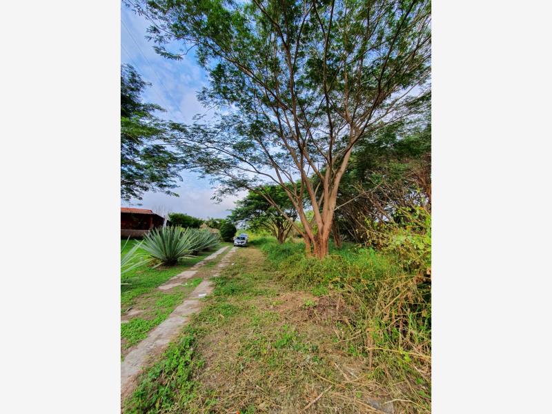 Terreno en venta en El Chivato (Providencia), Villa de Álvarez — foto 1 de 5