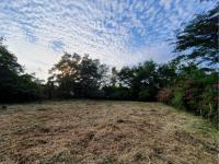 Terreno en venta en El Chivato (Providencia), Villa de Álvarez — foto 2 de 5