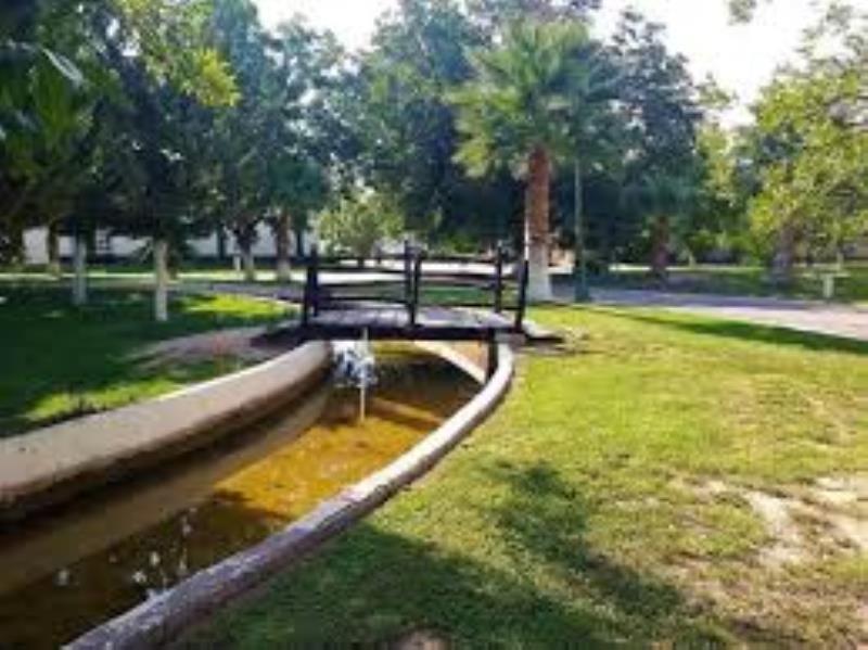 Terreno en Venta en San Armando, Torreón, Coahuila de Zaragoza