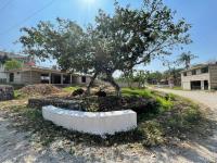Casa en venta en La Estanzuela, Emiliano Zapata — foto 2 de 36