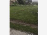 Terreno en venta en Lázaro Cárdenas, Metepec — foto 2 de 2