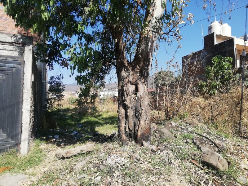 Terreno en venta en Quinceo, Morelia — foto 1 de 5