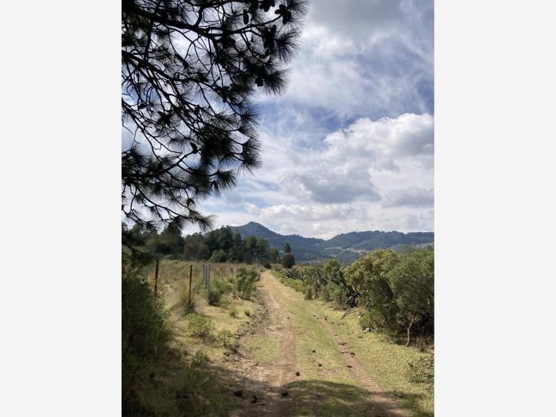 Terreno en venta en San Antonio el Paso, Omitlán de Juárez — foto 1 de 11