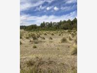Terreno en venta en San Antonio el Paso, Omitlán de Juárez — foto 2 de 11