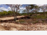 Terreno en venta en Izamal Centro, Izamal — foto 3 de 15