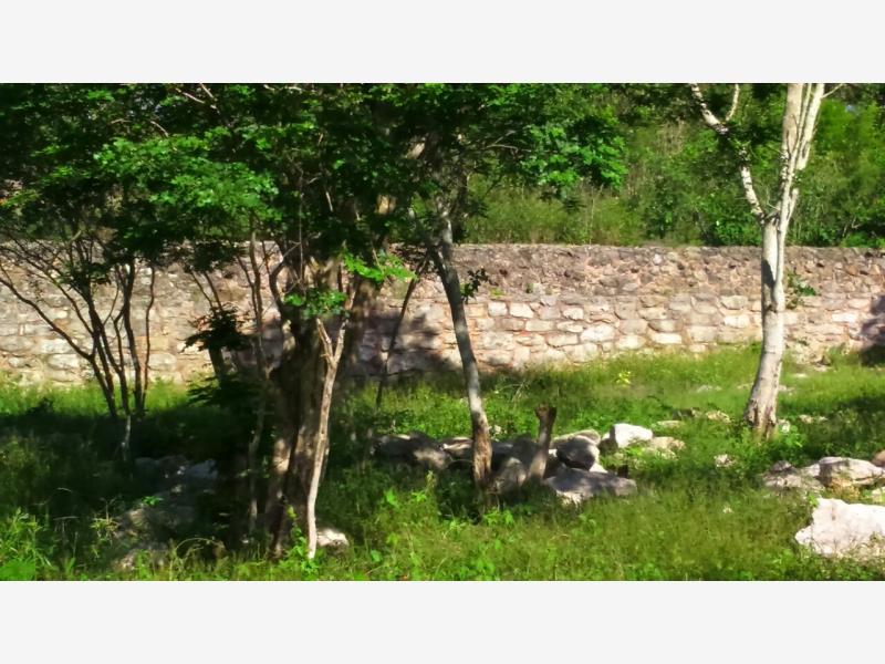 Imagen 2