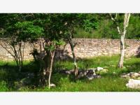Terreno en venta en Izamal Centro, Izamal — foto 2 de 12