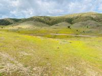 Terreno en venta en Francisco Zarco (Valle de Guadalupe), Ensenada — foto 2 de 17
