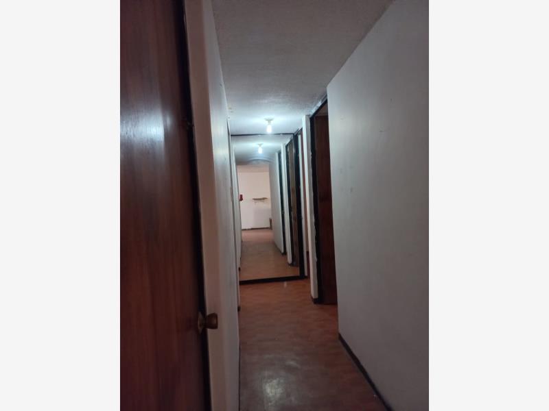 Imagen 5