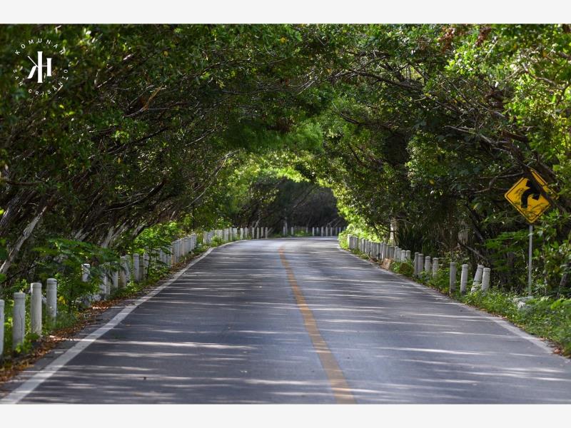 Terreno en venta en San Crisanto, Sinanché — foto 1 de 23