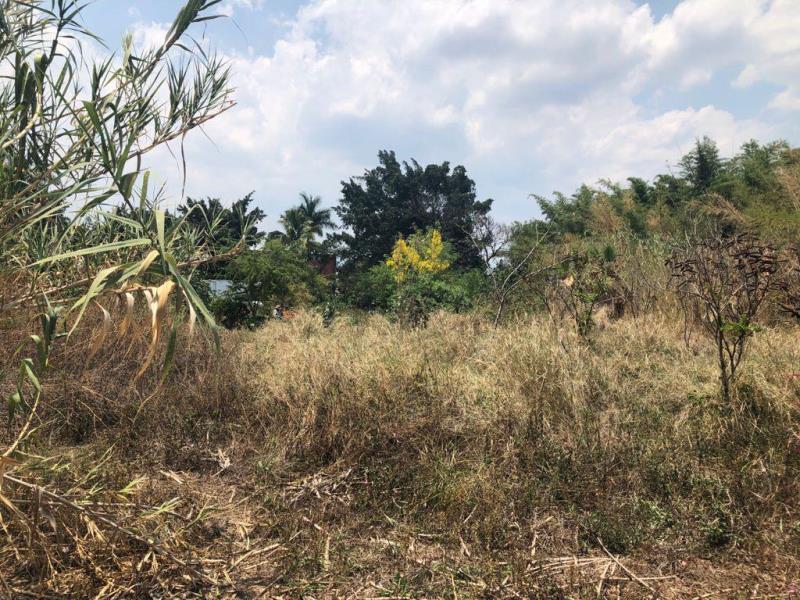 Terreno en venta en Bambú, Jiutepec — foto 1 de 5
