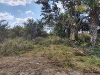 Terreno en venta en Bote en Bote, Tlalixcoyan — foto 3 de 7