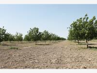 Terreno en venta en Trincheras, Parras — foto 2 de 35