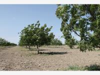 Terreno en venta en Trincheras, Parras — foto 3 de 35