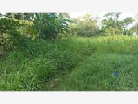 Terreno en venta en Chichicapa, Comalcalco — foto 2 de 14
