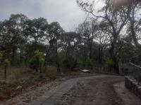 Terreno en venta en San Juan Tlacotenco, Tepoztlán — foto 2 de 21