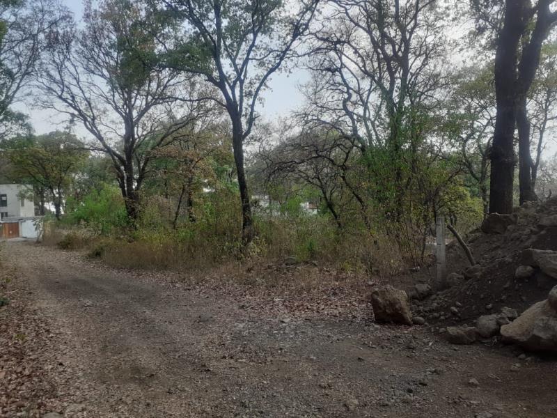 Terreno en venta en San Juan Tlacotenco, Tepoztlán — foto 1 de 21