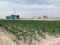 Terreno en venta en Cuayantla, San Andrés Cholula — foto 2 de 2