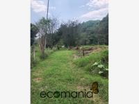 Terreno en venta en Briones, Coatepec — foto 2 de 12