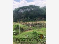 Terreno en venta en Briones, Coatepec — foto 3 de 12