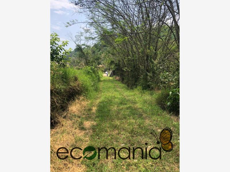 Terreno en venta en Briones, Coatepec — foto 1 de 12