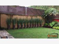 Casa en renta en Buenavista, Cuernavaca — foto 2 de 25