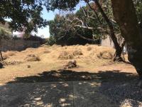 Terreno en venta en Lomas de Vista Hermosa, Cuernavaca — foto 3 de 3