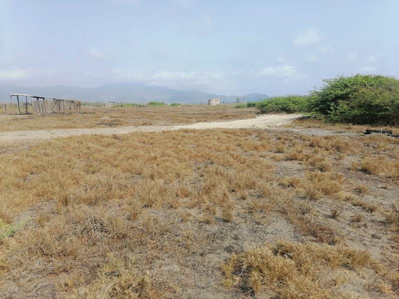 Terreno en venta en Boca de Apiza, Coahuayana — foto 1 de 7