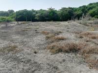 Terreno en venta en Boca de Apiza, Coahuayana — foto 3 de 7