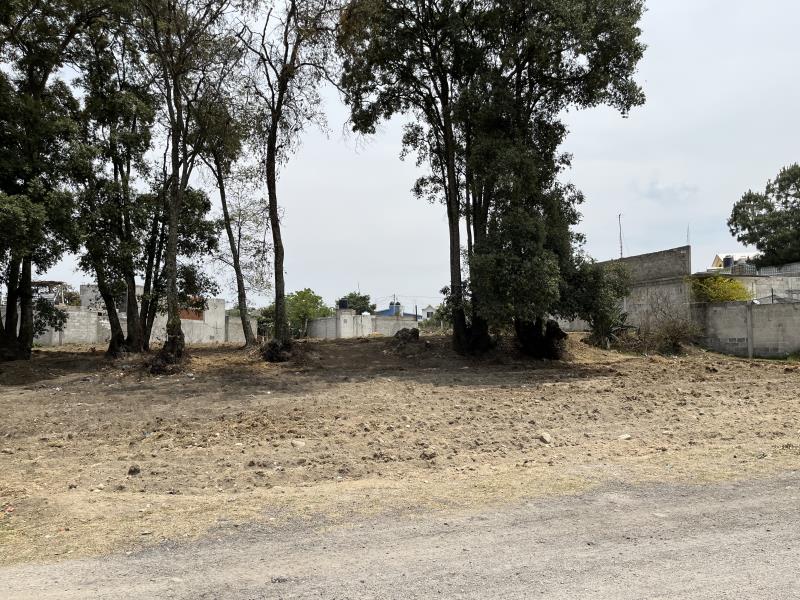 Terreno en venta en Actipa, Teolocholco — foto 1 de 6