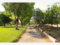 Terreno en venta en La Joya, Arteaga — foto 2 de 11