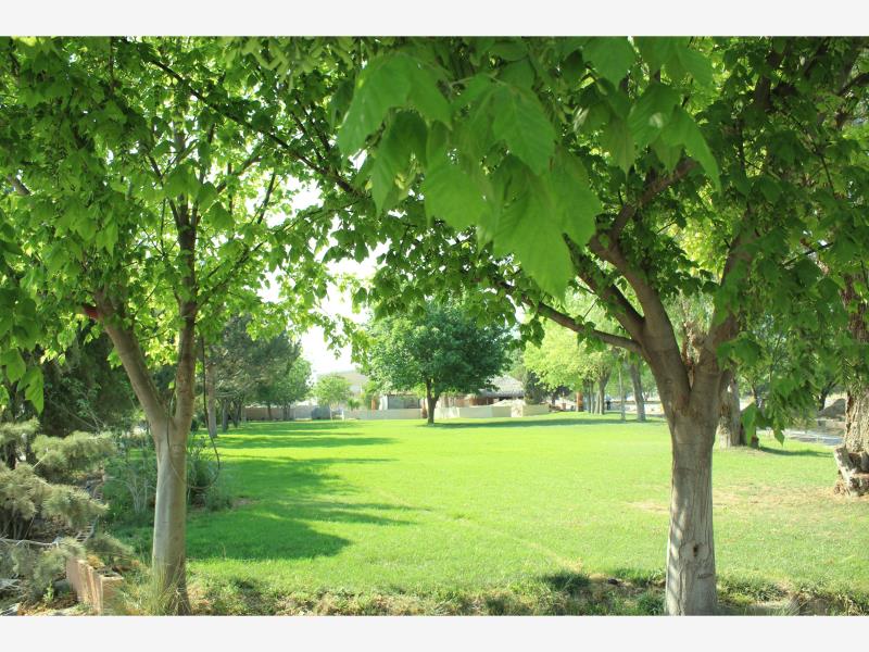Terreno en venta en La Joya, Arteaga — foto 1 de 11