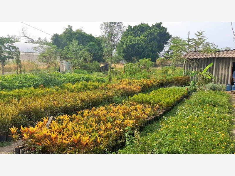 Terreno en venta en Cuautlixco, Cuautla — foto 1 de 3
