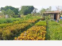 Terreno en venta en Cuautlixco, Cuautla — foto 2 de 3