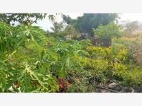 Terreno en venta en Cuautlixco, Cuautla — foto 3 de 3