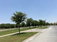 Terreno en venta en Las Villas, Torreón — foto 3 de 7