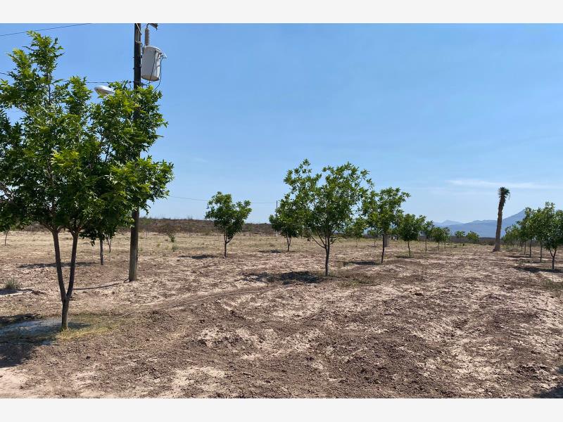 Terreno en venta en La Rosa, General Cepeda — foto 1 de 15