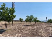 Terreno en venta en La Rosa, General Cepeda, Coahuila de Zaragoza