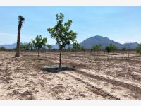 Terreno en venta en La Rosa, General Cepeda — foto 2 de 15