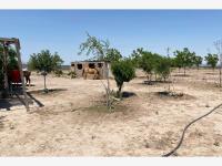Terreno en venta en La Rosa, General Cepeda — foto 3 de 15