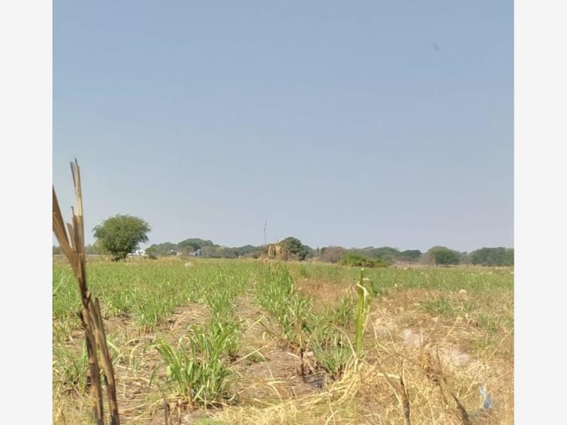 Terreno en venta en Chiapa, Cuauhtémoc