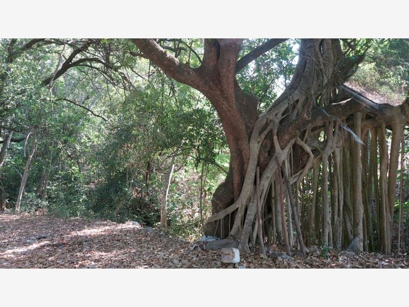 Terreno en venta en Chiapa, Cuauhtémoc