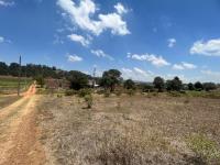 Terreno en venta en Tomatlán, Zacatlán — foto 2 de 9