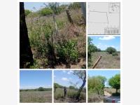 Terreno venta Col Valle Alto, al Poniente Cd Veracruz, Ver. 15.8 has.