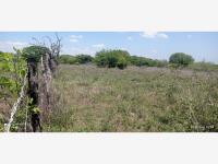 Terreno en venta en Valle Alto, Veracruz — foto 3 de 3